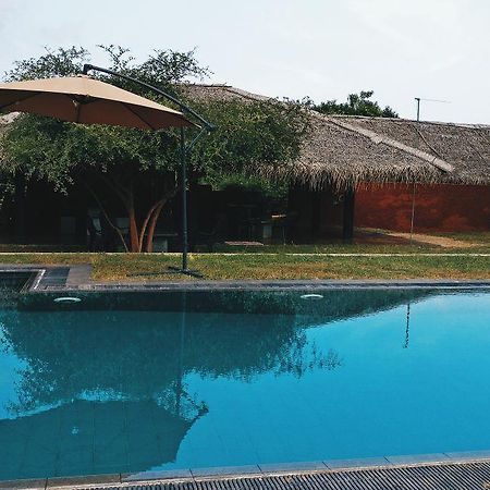 The Elephant Pass - Yala ทิซซามาฮารามา ภายนอก รูปภาพ